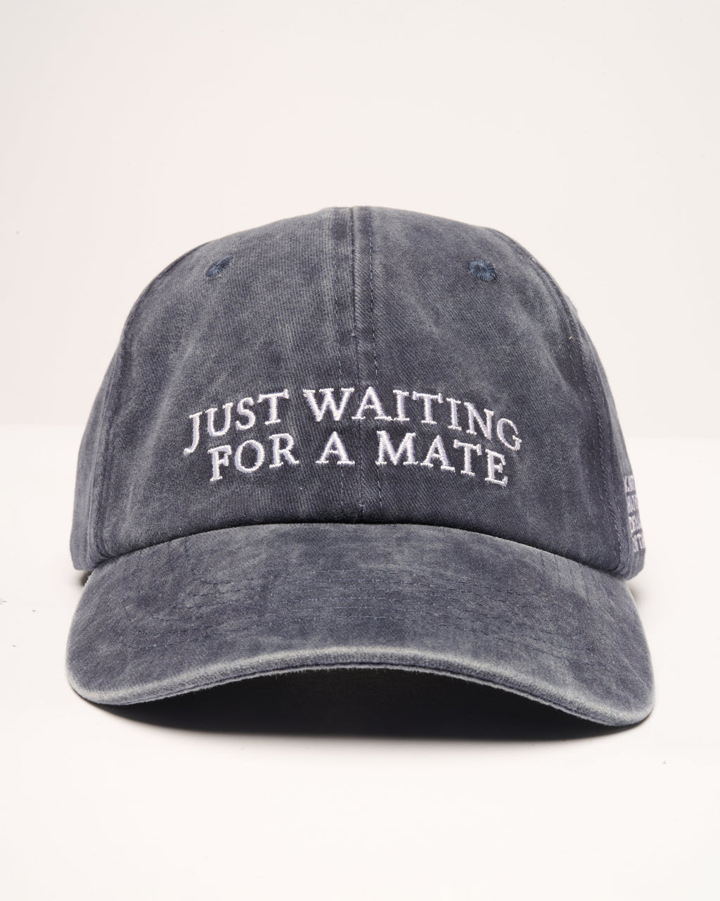 Just Waiting For A Mate Hat - Adult & Kids T-Shirts, Sweatshirts & Hoodies apparel design preview 1