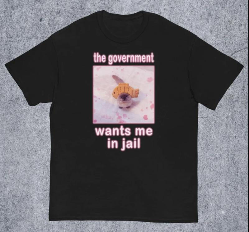 Government Wants Me Jail Funny Cat Meme - Adult & Kids T-Shirts, Sweatshirts & Hoodies apparel design preview 1