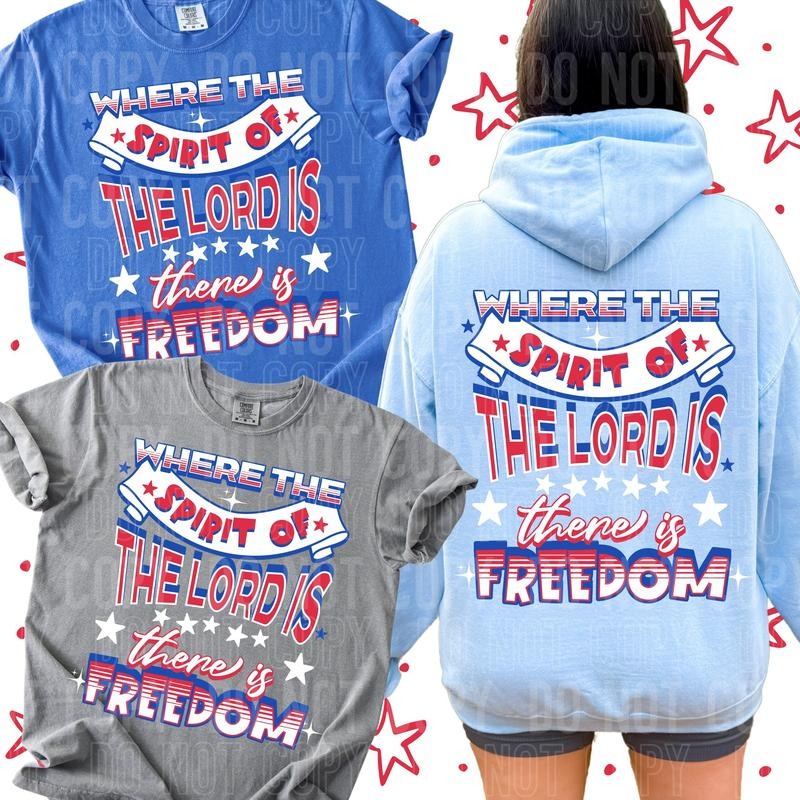 There Is Freedom DTF Transfers THIS NOT - Adult & Kids T-Shirts, Sweatshirts & Hoodies apparel design preview 1