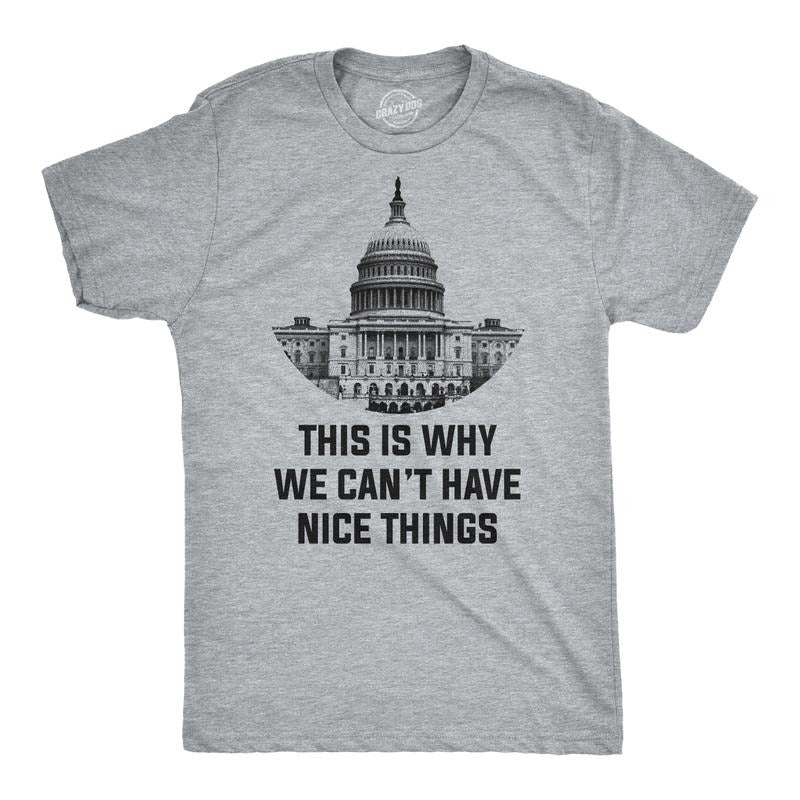 This Is Why We Can'T Have Nice Things Funny Anti - Adult & Kids T-Shirts, Sweatshirts & Hoodies apparel design preview 1