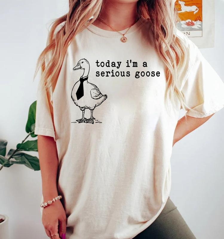 Today I'M Serious Goose Animal Lover Art Bird Birding - Adult & Kids T-Shirts, Sweatshirts & Hoodies apparel design preview 1