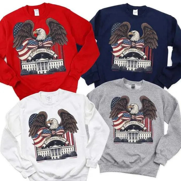 Trump Wins Inauguration 47 US President 2024 We Won - Adult & Kids T-Shirts, Sweatshirts & Hoodies apparel design preview 1