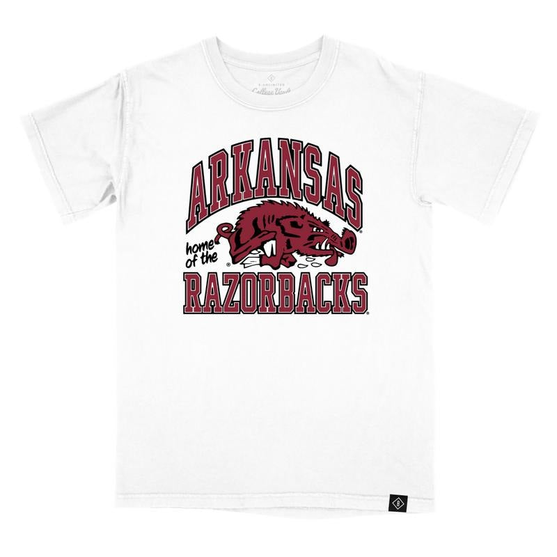 UNIVERSITY ARKANSAS VAULT SLOBBERING HOG - Adult & Kids T-Shirts, Sweatshirts & Hoodies apparel design preview 1