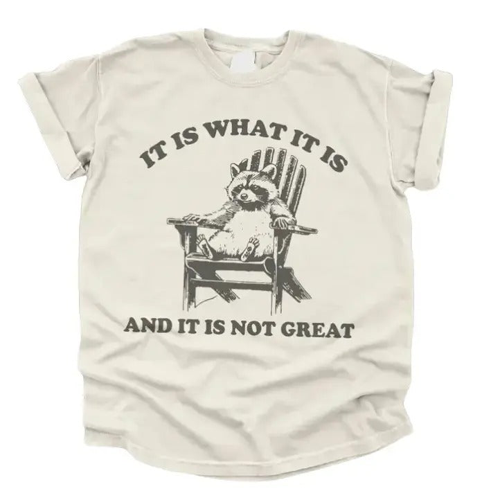 Vintage 90s Funny Racoon Meme Classic Cotton - Adult & Kids T-Shirts, Sweatshirts & Hoodies apparel design preview 1