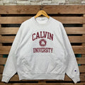 Vintage Champion Ncaa Calvin Jumper Print Logo Grey - Adult & Kids T-Shirts, Sweatshirts & Hoodies apparel design preview 1