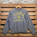 Vintage Ncaa Iowa Hawkeyes Jumper Logo Grey Colour - Adult & Kids T-Shirts, Sweatshirts & Hoodies apparel design preview 1