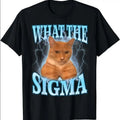 What Sigma Meme Cat Ironic Brainrot - Adult & Kids T-Shirts, Sweatshirts & Hoodies apparel design preview 1