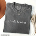 Comfort Colors I Could Be Nicer Funny Humor Quote - Adult & Kids T-Shirts, Sweatshirts & Hoodies apparel design preview 1