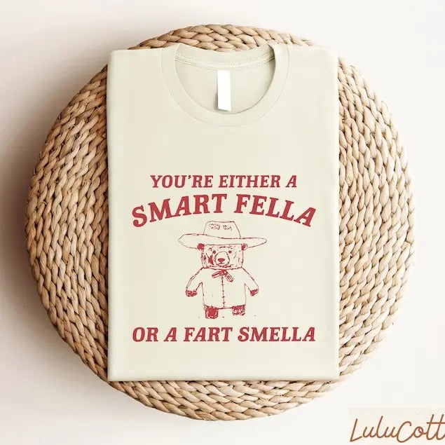 You'Re Either Smart Fella Fart Smella Funny Meme - Adult & Kids T-Shirts, Sweatshirts & Hoodies apparel design preview 1