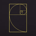Golden Spiral - Adult & Kids T-Shirts, Sweatshirts & Hoodies apparel design preview 1