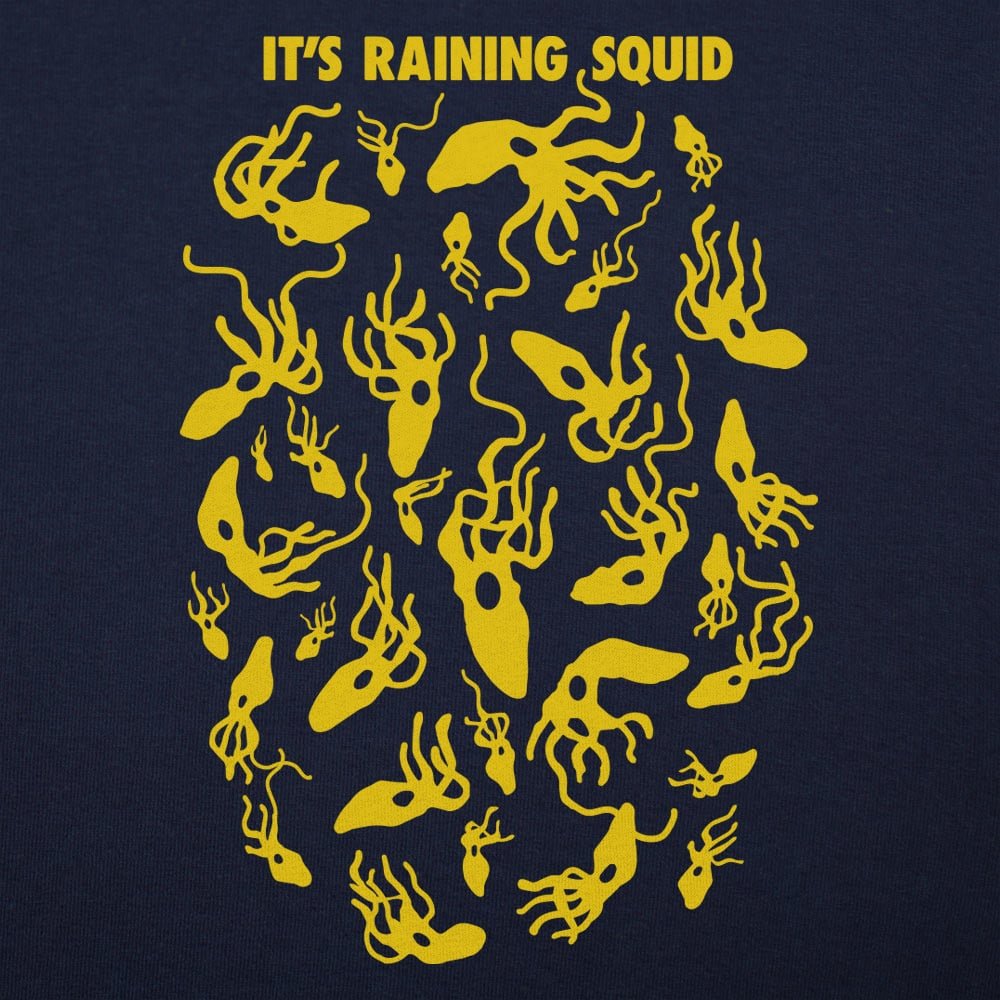 It's Raining Squid - Adult & Kids T-Shirts, Sweatshirts & Hoodies apparel design preview 1