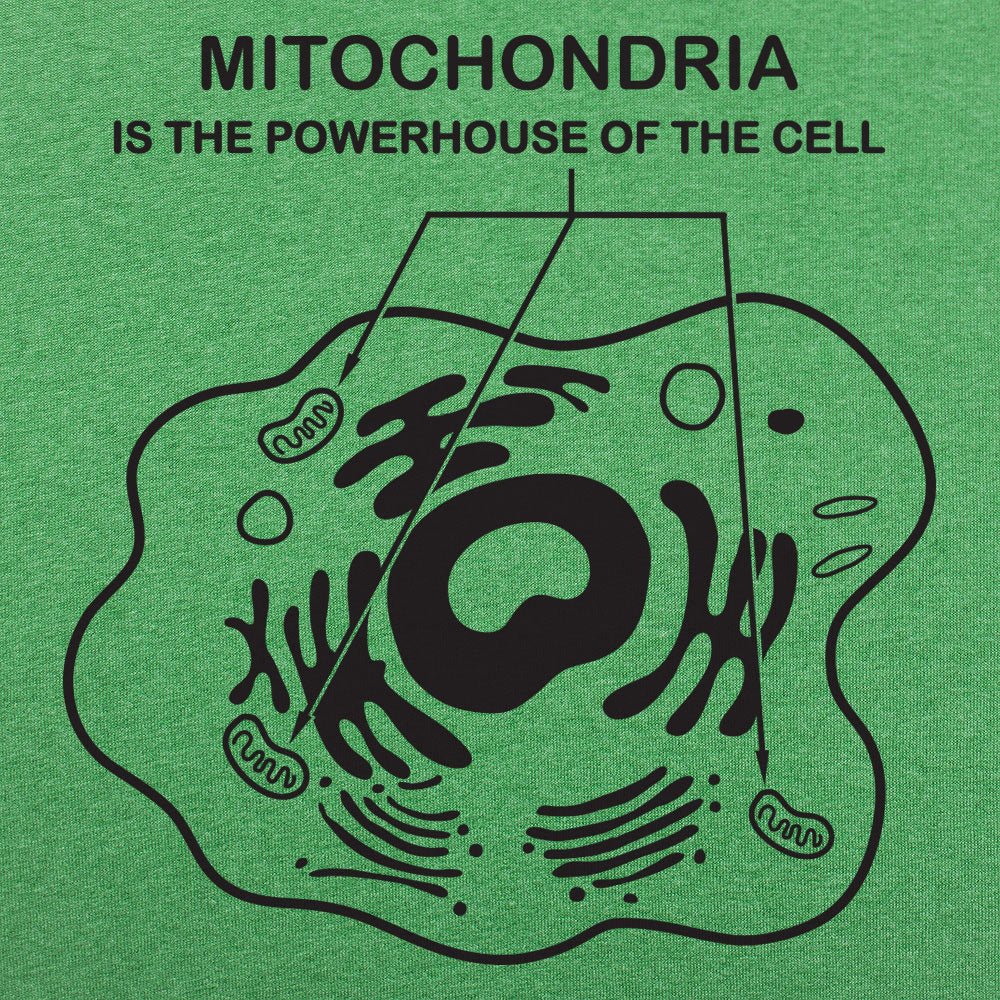 Mitochondria - Adult & Kids T-Shirts, Sweatshirts & Hoodies apparel design preview 1