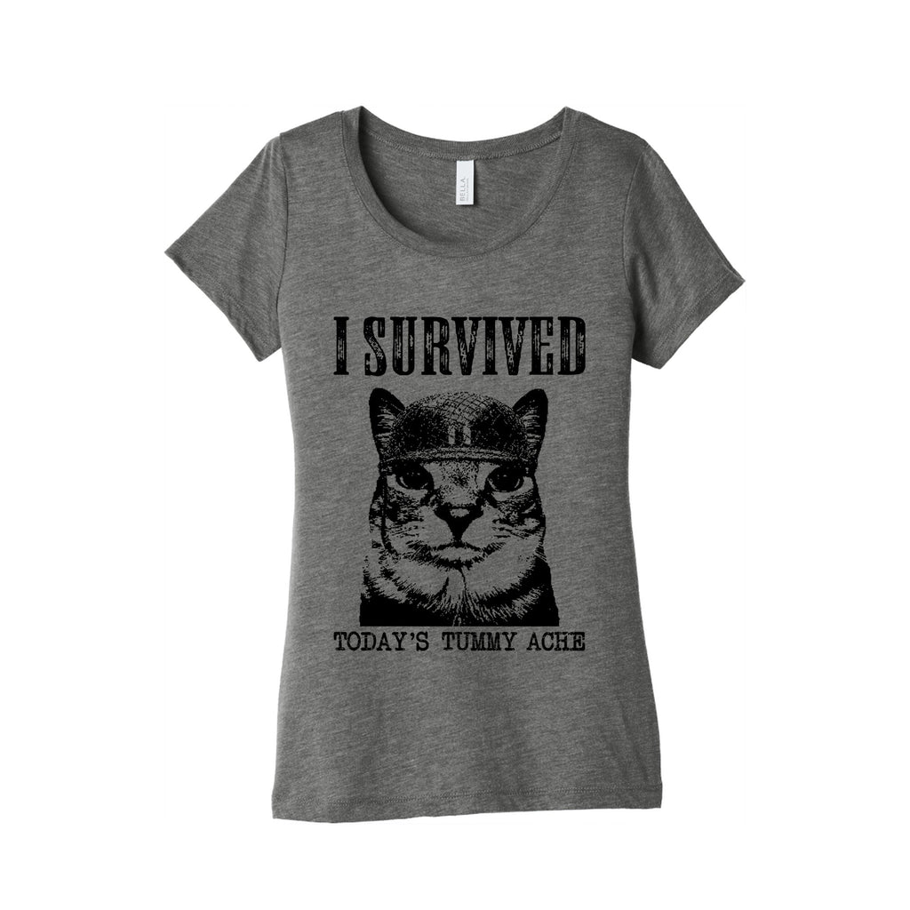 Tummy Ache Survivor Womens Triblend - Adult & Kids T-Shirts, Sweatshirts & Hoodies apparel design preview 1