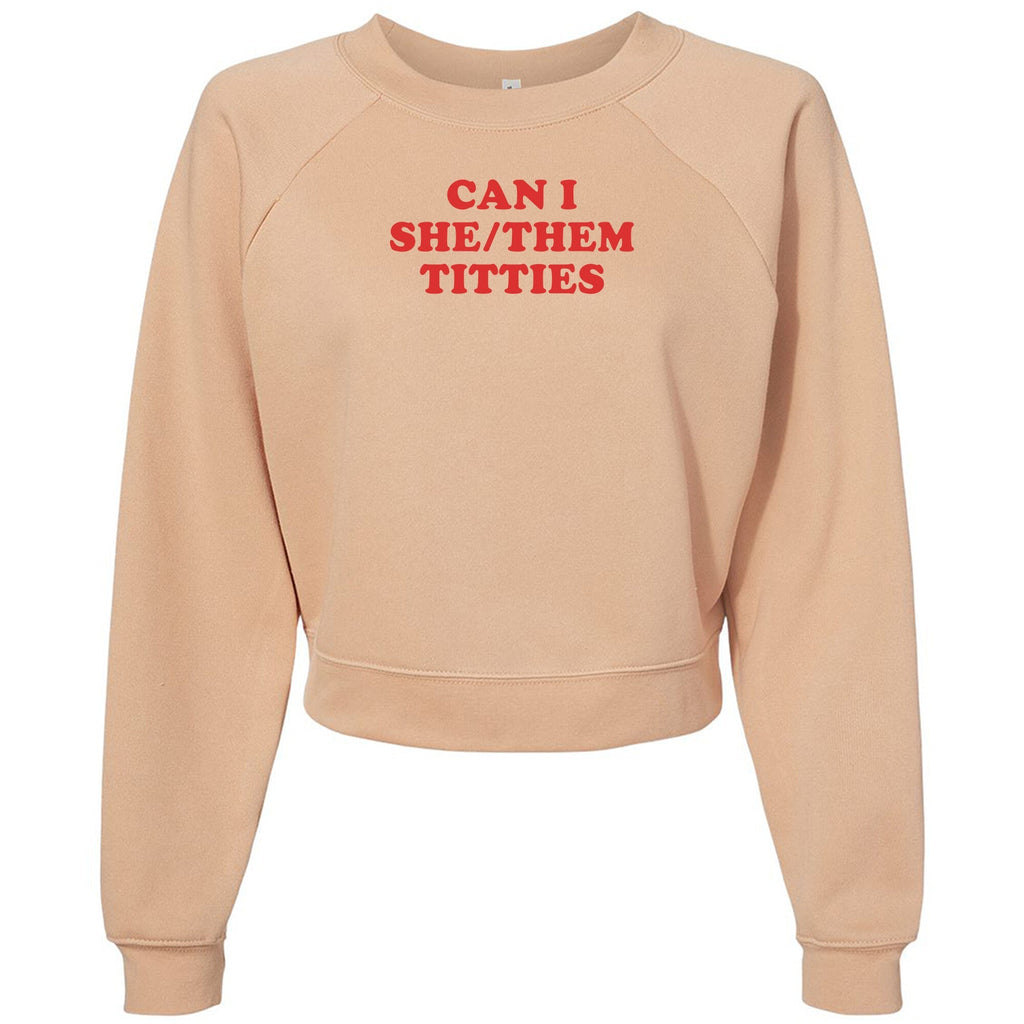 Can I She/Them Titties? Womens Raglan Fleece - Adult & Kids T-Shirts, Sweatshirts & Hoodies apparel design preview 1