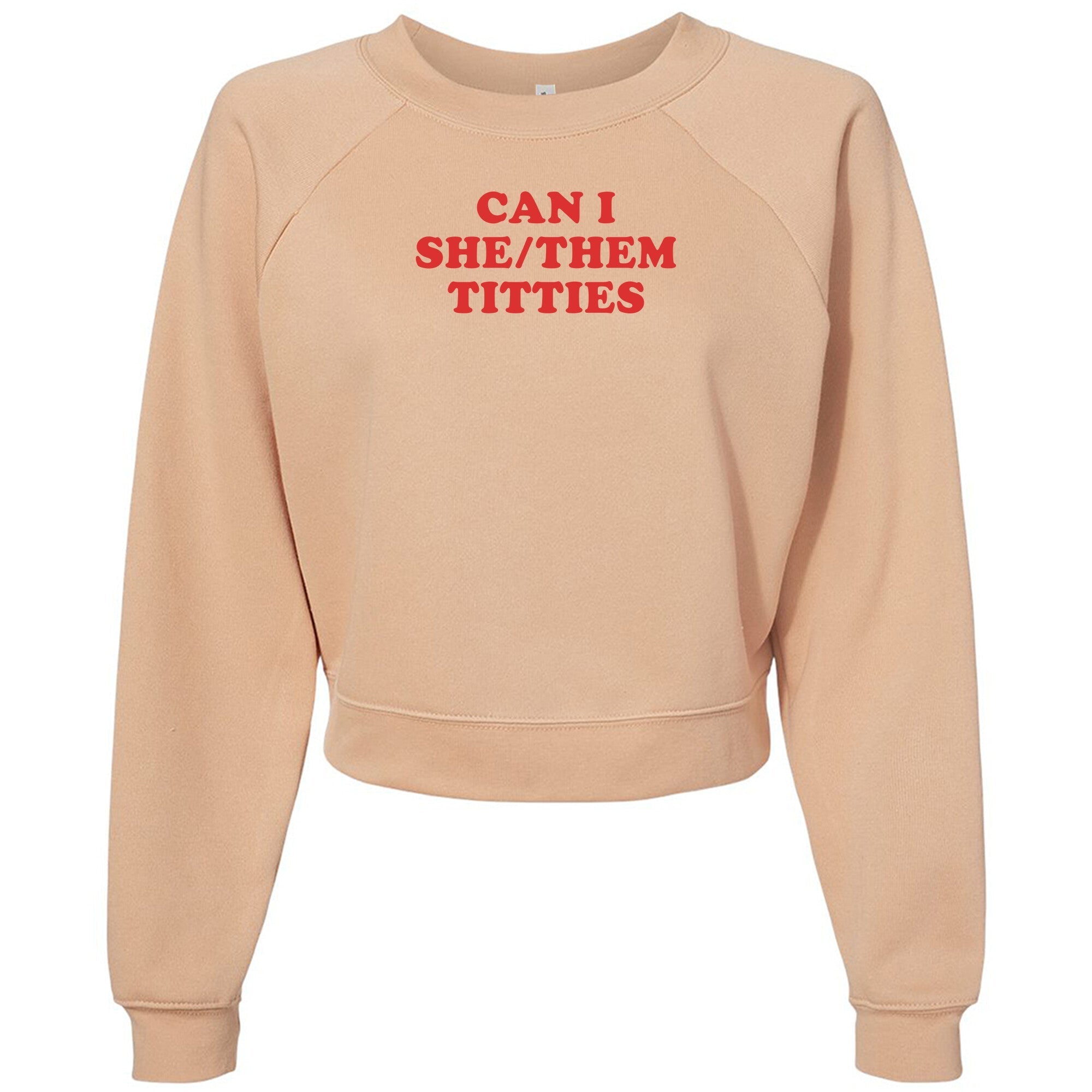 Can I She/Them Titties? Womens Raglan Fleece - Adult & Kids T-Shirts, Sweatshirts & Hoodies apparel design preview 1