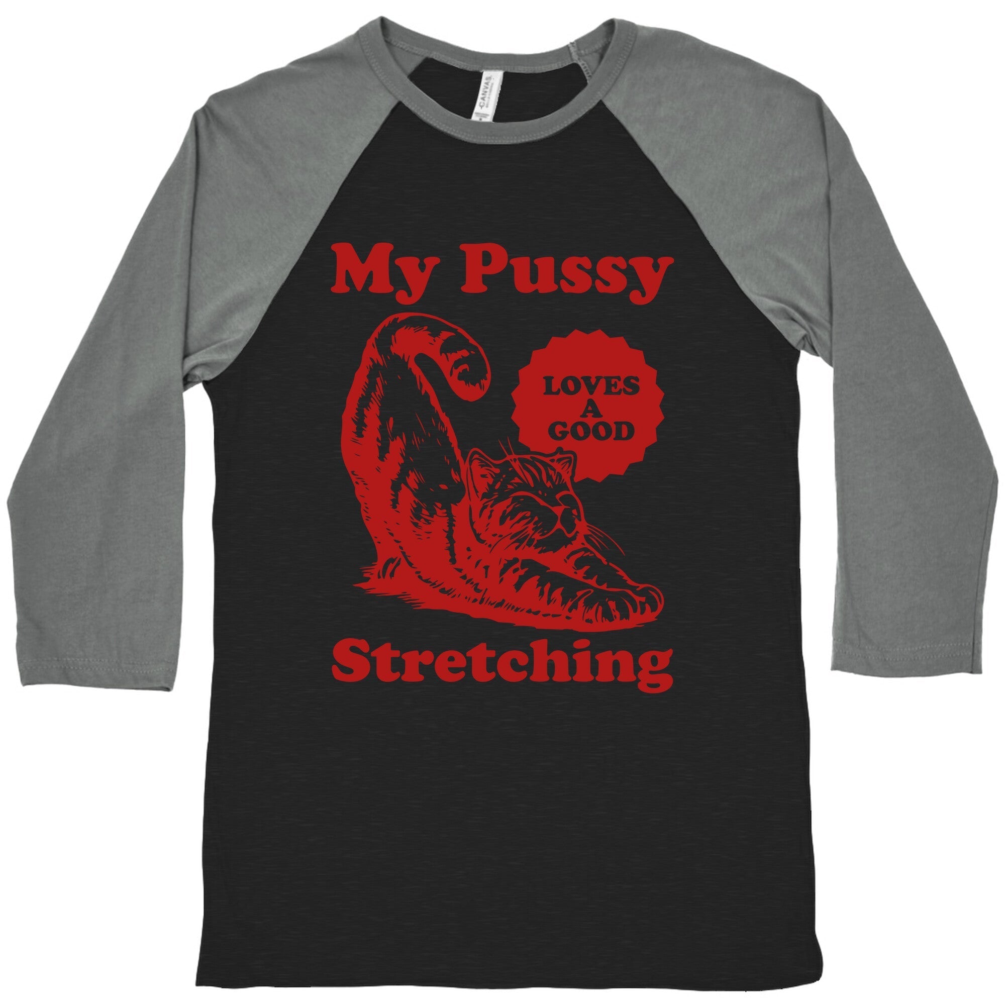 My Pussy Loves A Good Stretching Baseball - Adult & Kids T-Shirts, Sweatshirts & Hoodies apparel design preview 1