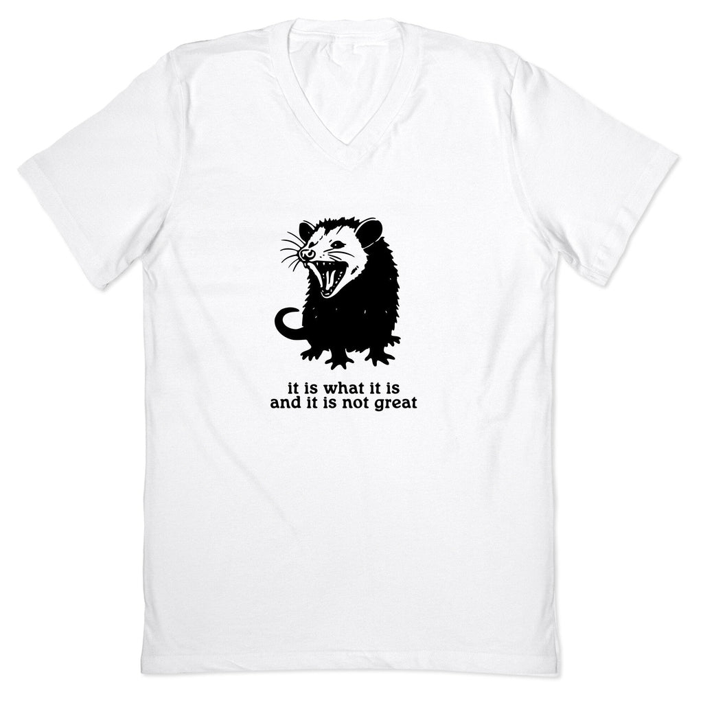 It Is What V-Neck - Adult & Kids T-Shirts, Sweatshirts & Hoodies apparel design preview 1