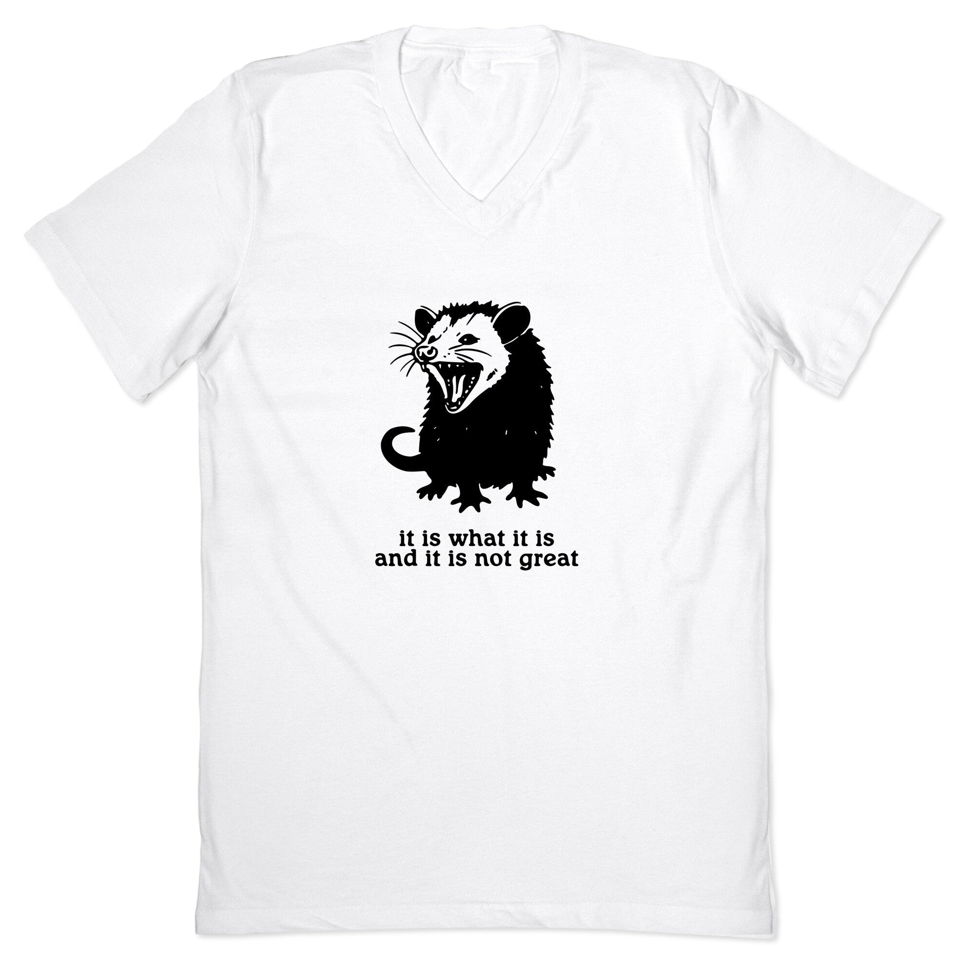 It Is What V-Neck - Adult & Kids T-Shirts, Sweatshirts & Hoodies apparel design preview 1