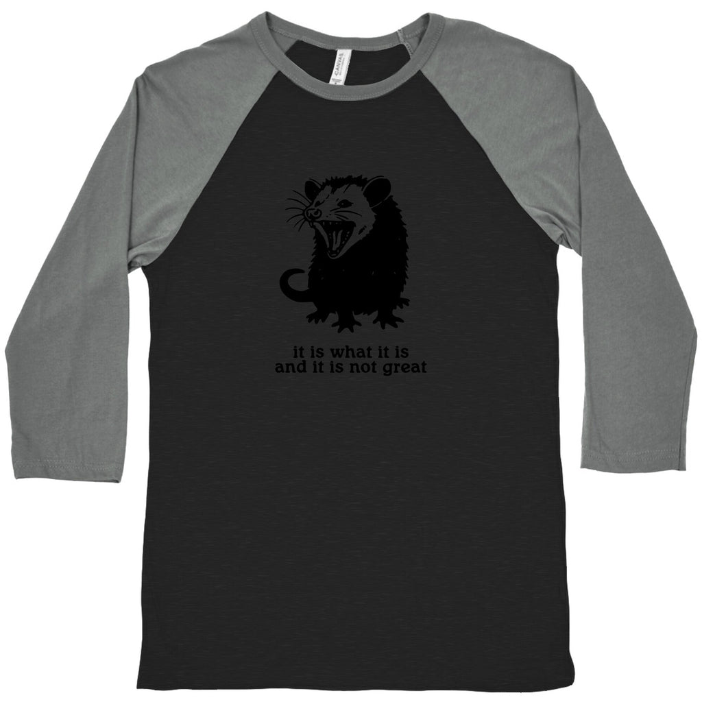It Is What Baseball - Adult & Kids T-Shirts, Sweatshirts & Hoodies apparel design preview 1