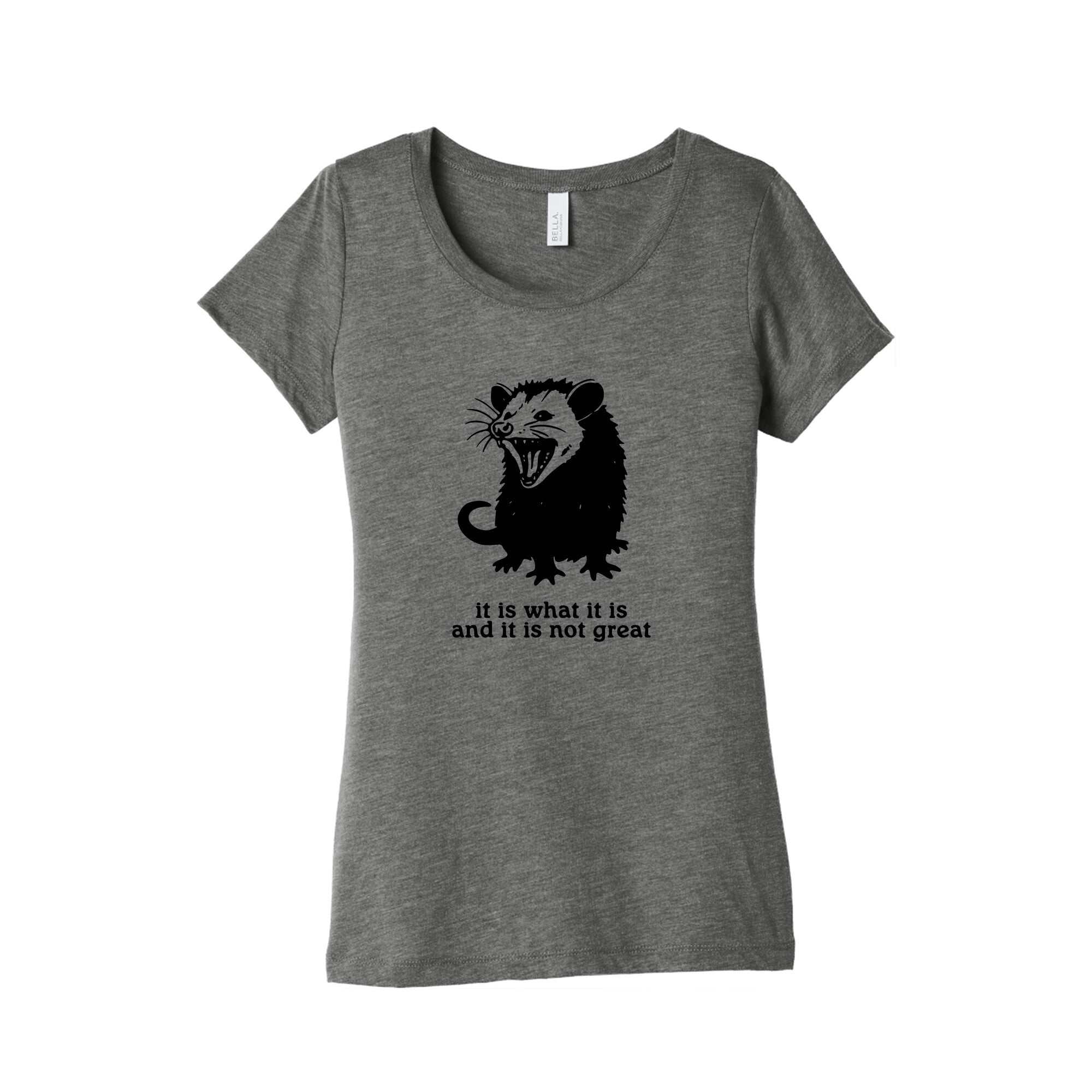 It Is What Womens Triblend - Adult & Kids T-Shirts, Sweatshirts & Hoodies apparel design preview 1