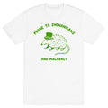 Shenanigans And Malarkey - Adult & Kids T-Shirts, Sweatshirts & Hoodies apparel design preview 1