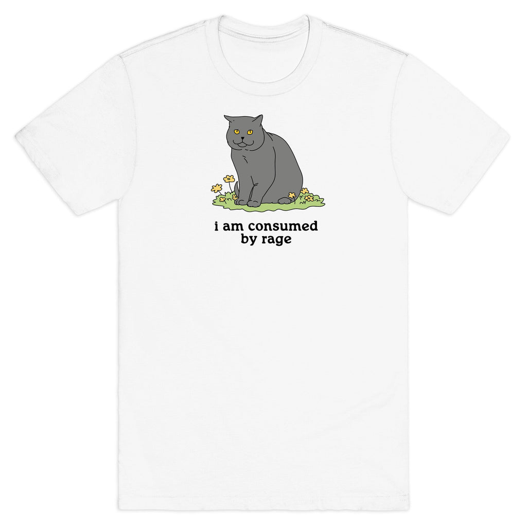 Consumed By Rage - Adult & Kids T-Shirts, Sweatshirts & Hoodies apparel design preview 1