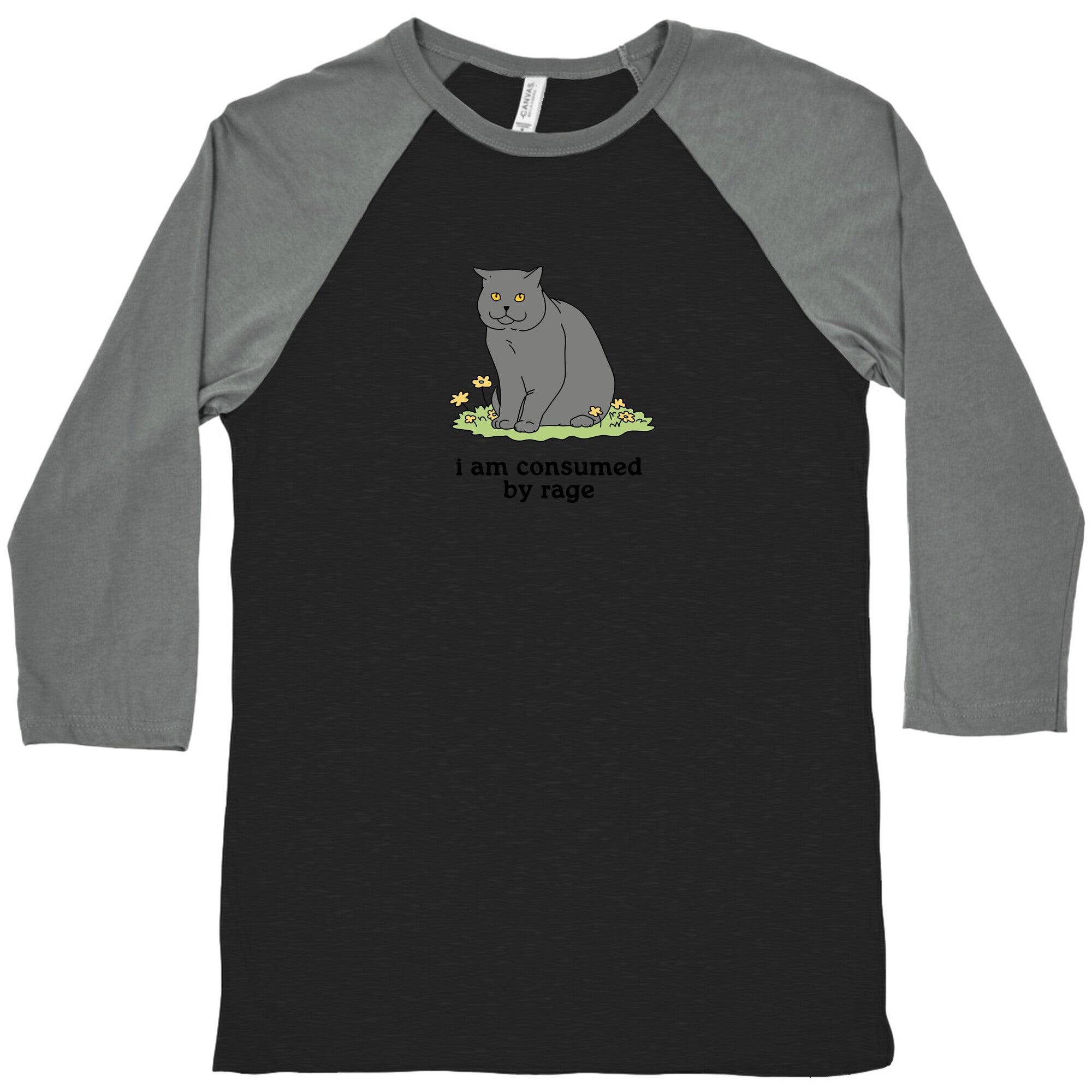 Consumed By Rage Baseball - Adult & Kids T-Shirts, Sweatshirts & Hoodies apparel design preview 1