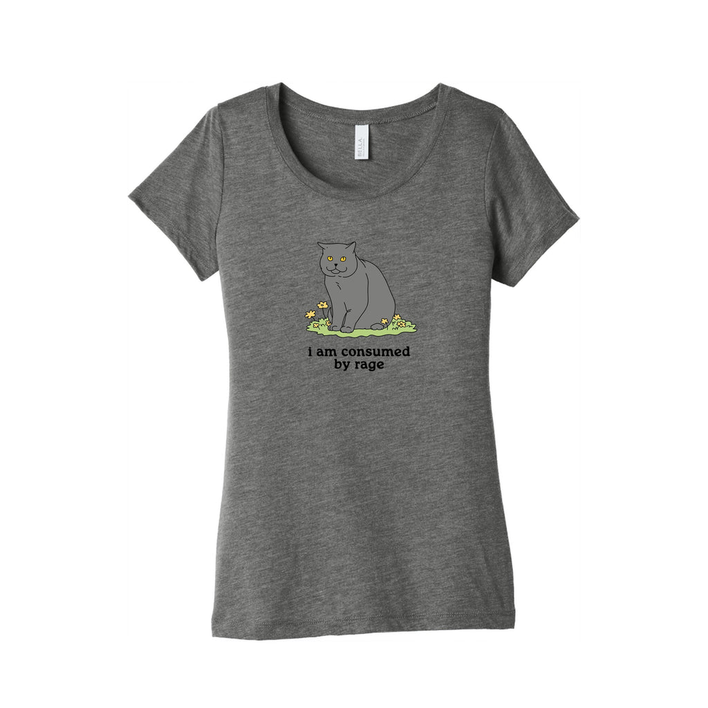 Consumed By Rage Womens Triblend - Adult & Kids T-Shirts, Sweatshirts & Hoodies apparel design preview 1
