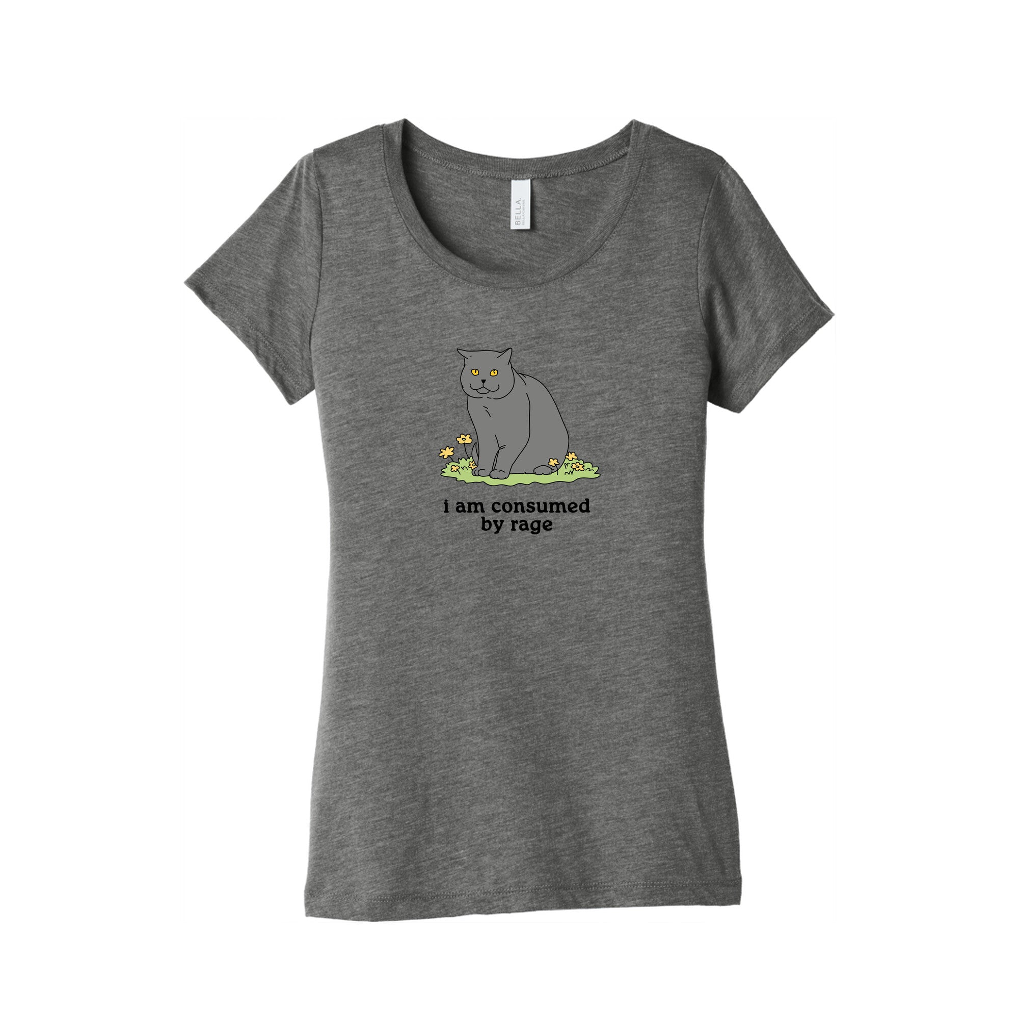 Consumed By Rage Womens Triblend - Adult & Kids T-Shirts, Sweatshirts & Hoodies apparel design preview 1