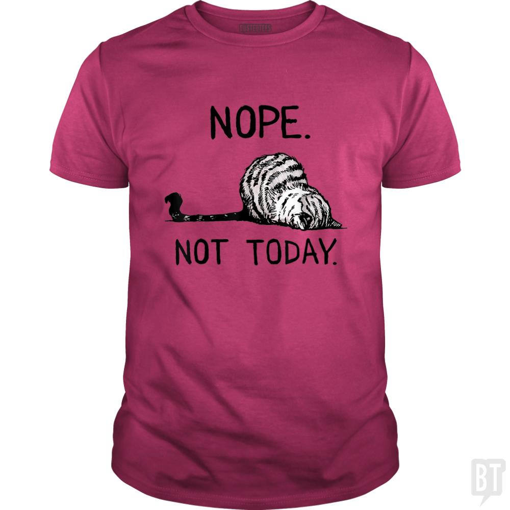 Nope Not Today Cat - Adult & Kids T-Shirts, Sweatshirts & Hoodies apparel design preview 1