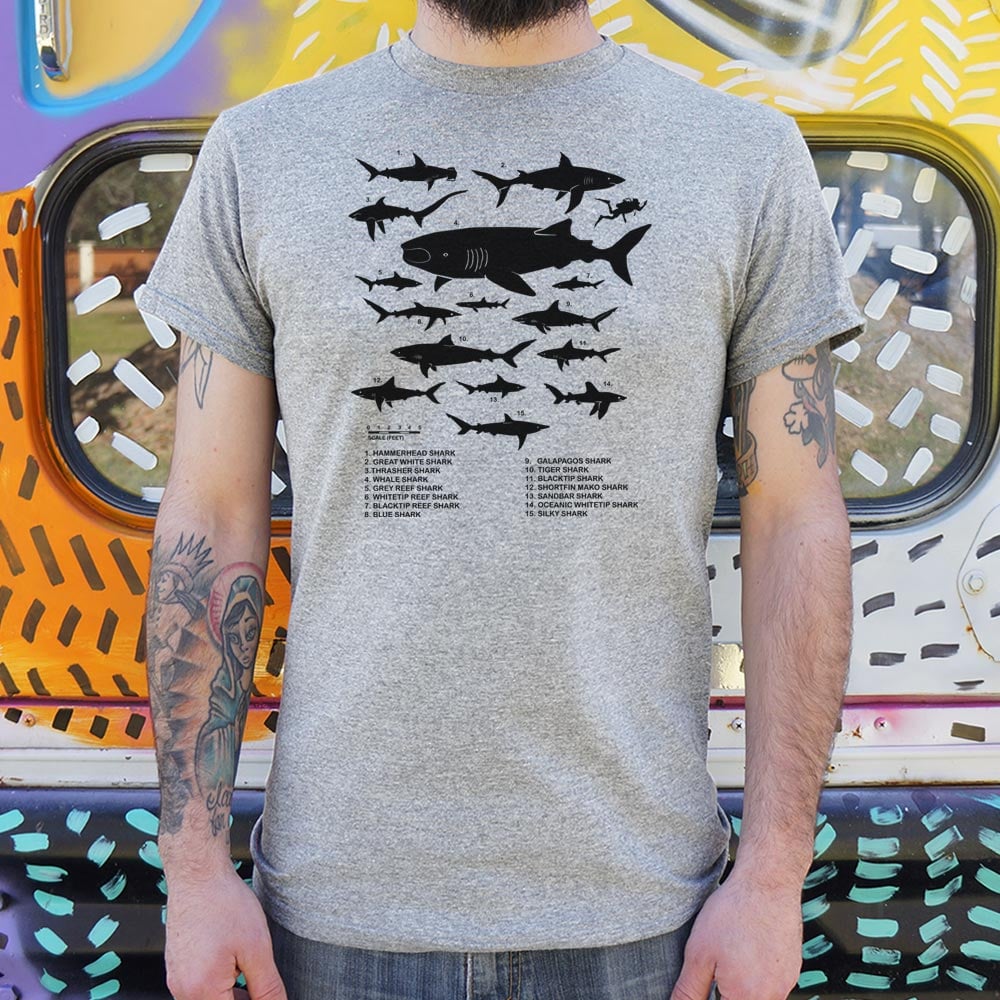 Shark Chart - Adult & Kids T-Shirts, Sweatshirts & Hoodies apparel design preview 1
