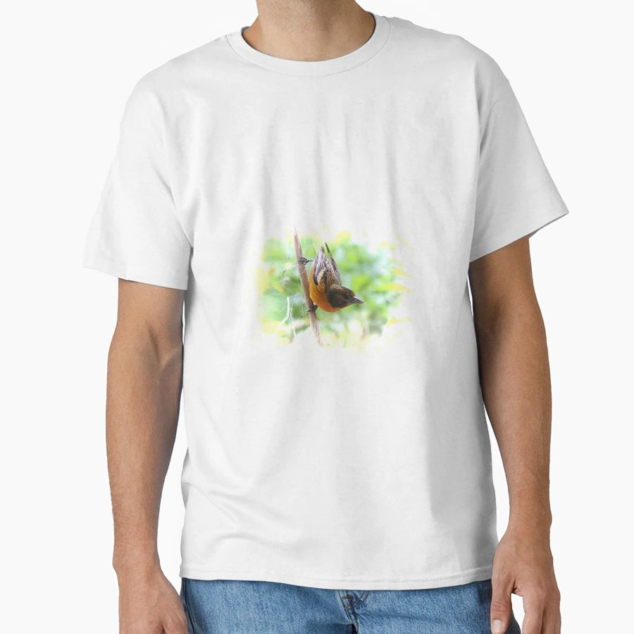 Baltimore Oriole Female T-Shirt - Minimalist Print Men Women - T-Shirt, Sweatshirt, Hoodie