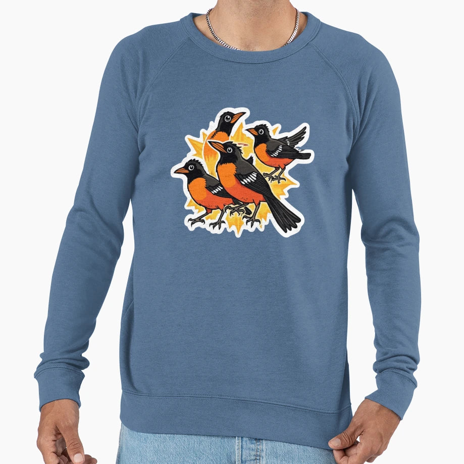 Baltimore Birds Sweatshirt - Trendy Graphic Unisex - T-Shirt, Sweatshirt, Hoodie