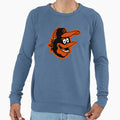 Baltimore Bird Sweatshirt - Custom Art Print for Adults - T-Shirt, Sweatshirt, Hoodie