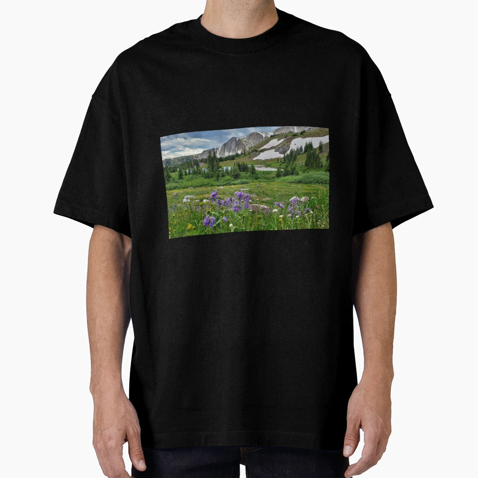 Snowy Range T-Shirt - Trendy Graphic for Adults - T-Shirt, Sweatshirt, Hoodie