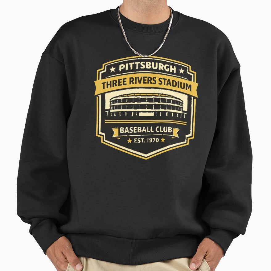 Pittsburgh Three Rivers Stadium T-Shirt - Custom Art Print for Adults - T-Shirt, Sweatshirt, Hoodie