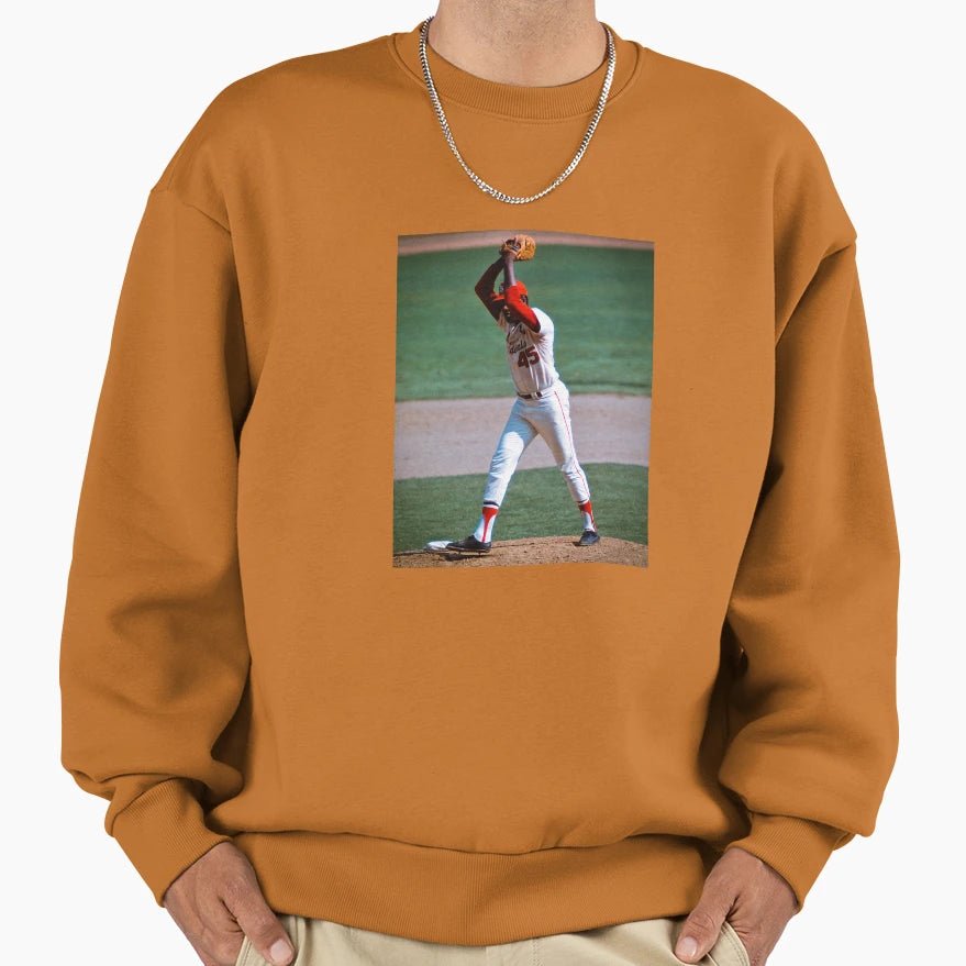 Gibby Sweatshirt - Unique Graphic for Adults - T-Shirt, Sweatshirt, Hoodie