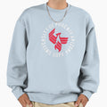 University Phoenix Arizona Sweatshirt - Casual Everyday Wear Men Women - T-Shirt, Sweatshirt, Hoodie