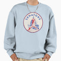 Washington Senators Baseball Logo Sweatshirt - Graphic Print Men Women - T-Shirt, Sweatshirt, Hoodie