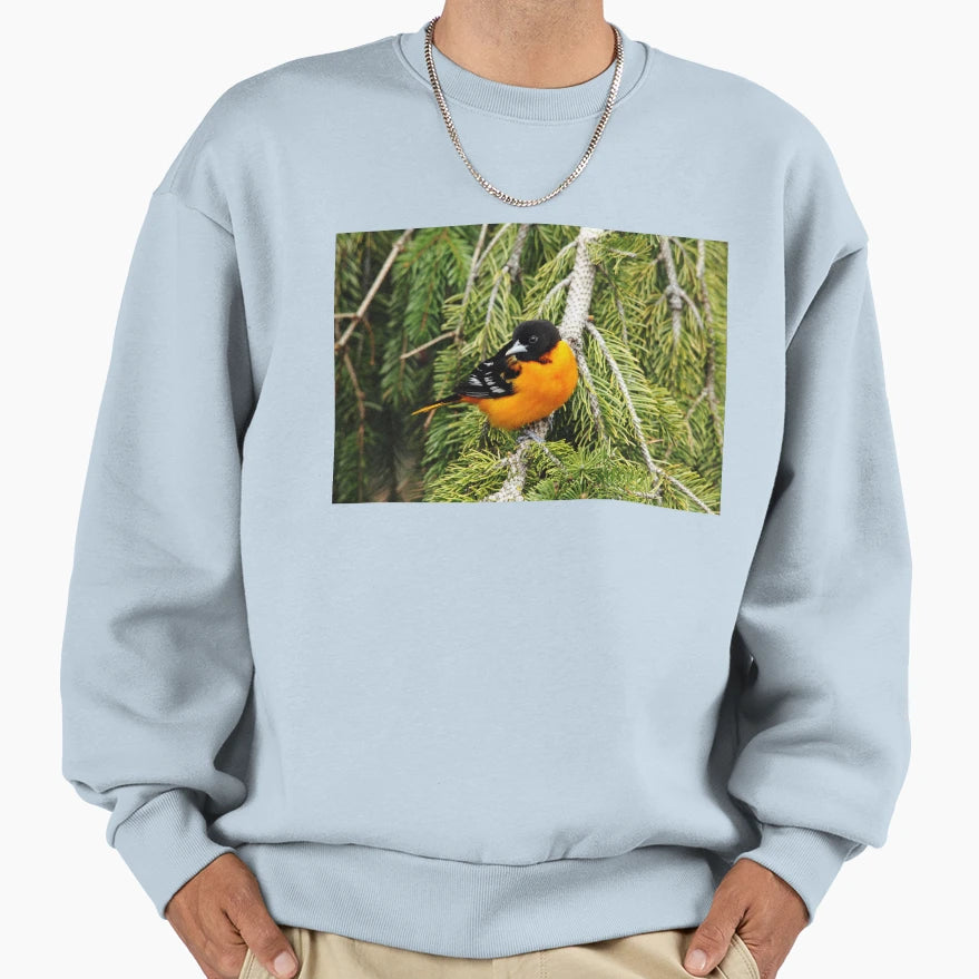 Perched Baltimore Oriole Sweatshirt - Unique Graphic Men Women - T-Shirt, Sweatshirt, Hoodie