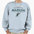 Florida Dolphins Sweatshirt - Trendy Graphic for Adults - T-Shirt, Sweatshirt, Hoodie