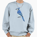 Blue Jay Bird Sweatshirt - Casual Everyday Wear Unisex - T-Shirt, Sweatshirt, Hoodie