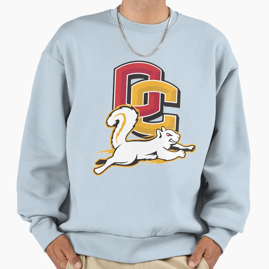 Oberlin College Sweatshirt - Unique Graphic Unisex - T-Shirt, Sweatshirt, Hoodie