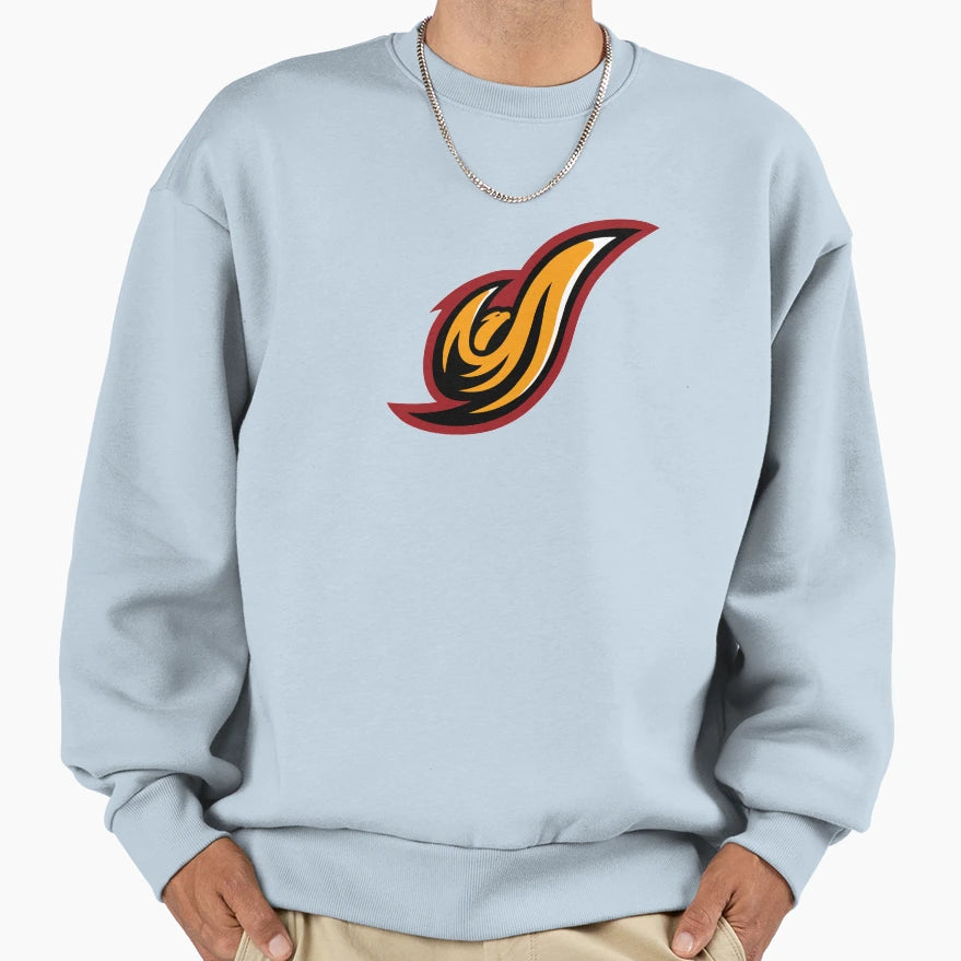 New District Columbia Firebirds Sweatshirt - Unique Graphic for Adults - T-Shirt, Sweatshirt, Hoodie