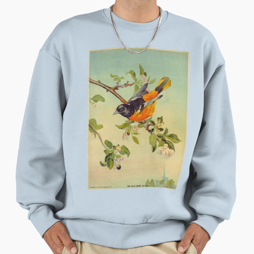 Baltimore Oriole 1880 Artwork Sweatshirt - Aesthetic Graphic Men Women - T-Shirt, Sweatshirt, Hoodie