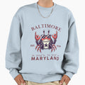 Baltimore Sweatshirt - Aesthetic Graphic Unisex - T-Shirt, Sweatshirt, Hoodie