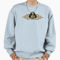 Decatur Raiders 3 Sweatshirt - Novelty Apparel for Adults - T-Shirt, Sweatshirt, Hoodie