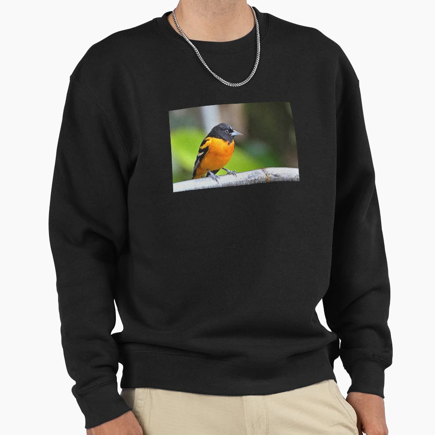 Baltimore Oriole Sweatshirt - Unique Graphic Unisex - T-Shirt, Sweatshirt, Hoodie