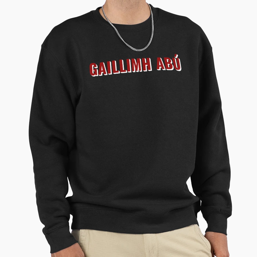 Gallimh Ab Up Galway Sweatshirt - Graphic Print for Adults - T-Shirt, Sweatshirt, Hoodie
