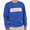 Nationals Park Coordinates Sweatshirt - Trendy Graphic Men Women - T-Shirt, Sweatshirt, Hoodie